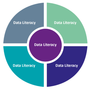 Data Literacy Schaubild Segmente