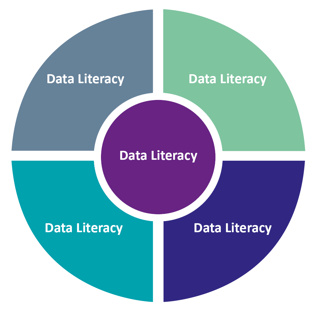Data Literacy Schaubild Segmente